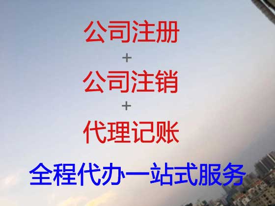 南平公司个体户注册-公司减资变更